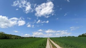 Ein Feldweg führt durch einen grünenden Acker, darüber sieht man den blauen Himmel und ein paar kleine Wölkchen.